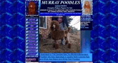 Desktop Screenshot of murraypoodles.com