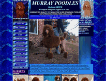 Tablet Screenshot of murraypoodles.com